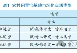 农村闲置宅基地市场化盘活类型识别及实践反思