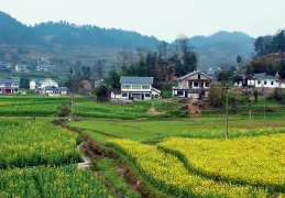 农村房地一体登记十大难点及对策